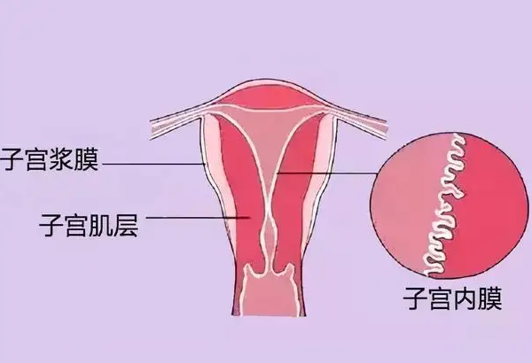子宫内膜厚1.6厘米是怎么回事？