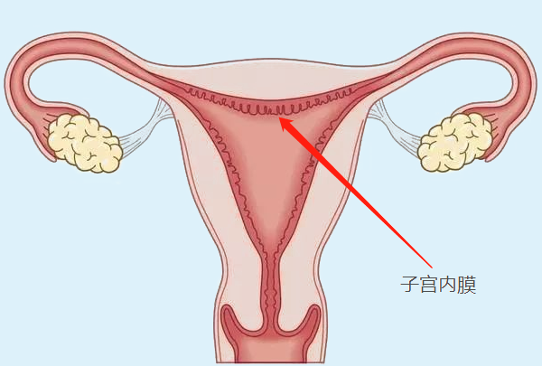 子宫内膜3mm怎么调理怀孕？