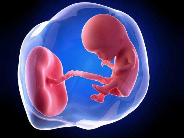 孕早期胚芽怎么看男女(准不准)