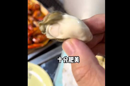 为什么吃生蚝女的受不了(男人吃生蚝的好处)