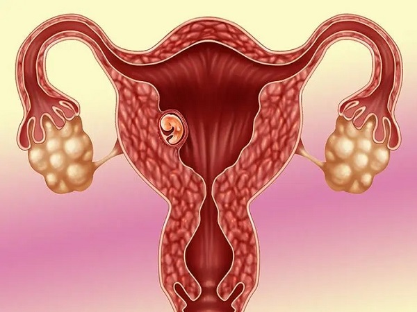 胚胎进入子宫的征兆表现和时间