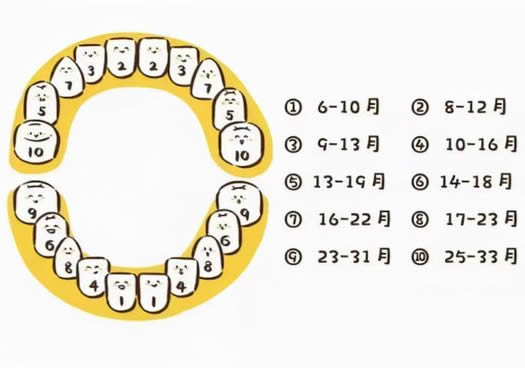 婴儿几岁开始长牙 宝宝出牙时间图参考