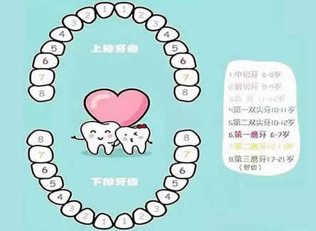 儿童换牙顺序(换牙年龄及注意事项)