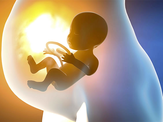 孕1-40周胎儿发育标准数值表(孕期促进胎儿正常发育的方法)