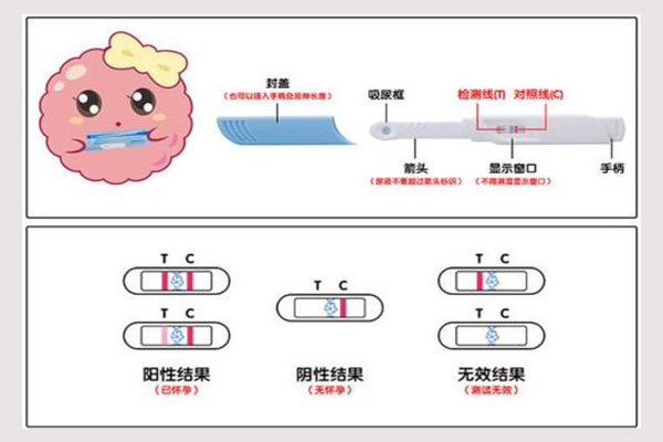 验孕棒ct、max意思(位置怎么看图解)