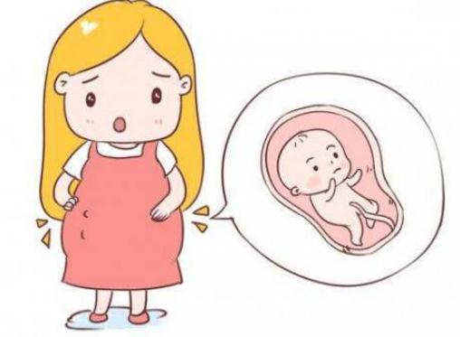 整个孕期一共多少天多少周(要做多少次产检)