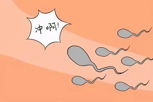 排卵日同房怀孕技巧(增加受孕率的10个小窍门)