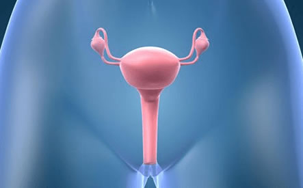 怎么确认精子进入子宫(精子是怎样进入子宫的)
