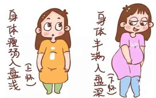 孕妇上怀和下怀的区别对照图(上怀和下怀的决定性因素)