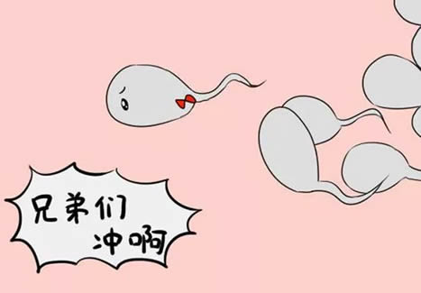 备孕精子擦干可以受孕吗(干了的精液还能让人怀孕吗)