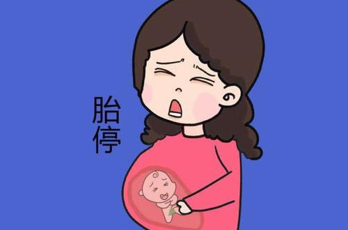 为什么高龄孕妇容易胎停(胎停前的暗示信号)