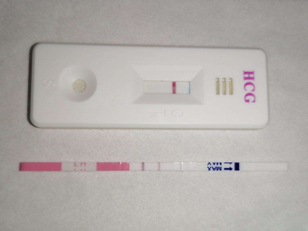 女性促排第20天一条杠是否没希望了(促排20天hcg490是否正常)