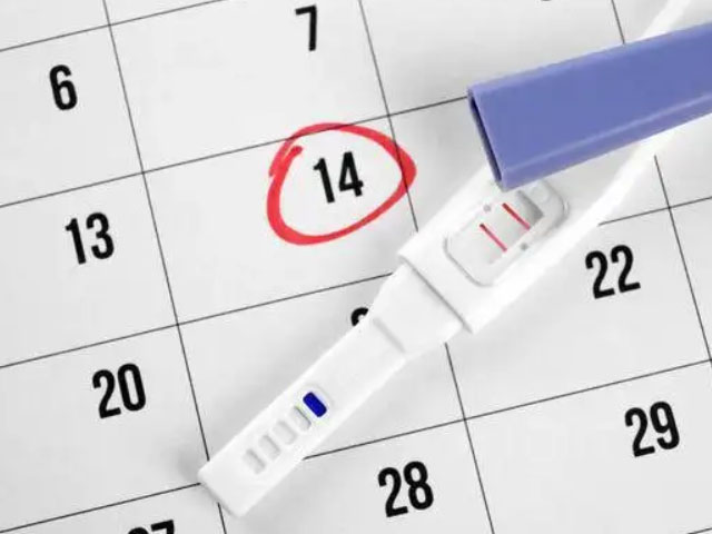 2023年最佳备孕月份 备孕有什么办法快速怀孕