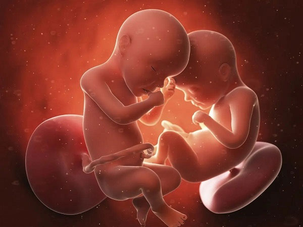 提高生育双胞胎的几率促排卵方法 促排卵多胞胎几率