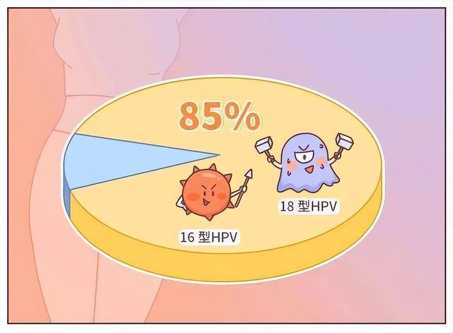 如果戴套会传染hpv病毒吗(为什么戴套了还是感染hpv)