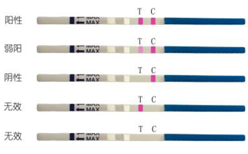 验孕棒一深一浅图解正确 4个原因