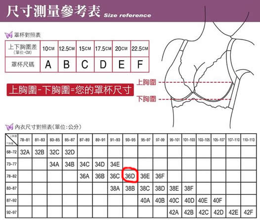 36d胸围尺码表d罩杯有多大(罩杯从A到D的触摸体验)