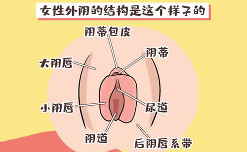 女性私密粉嫩部位(女性隐秘部位生理构造解析)