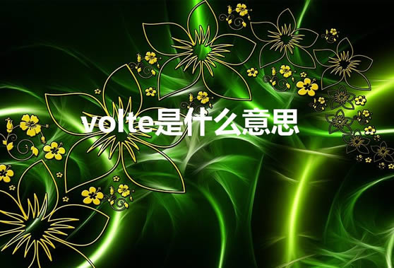 volte是什么意思 指的是什么？