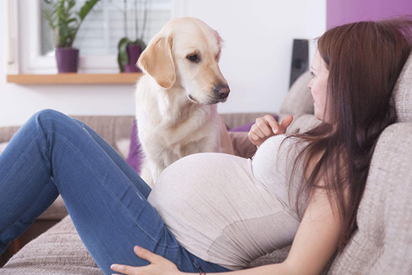 生男生女真的是注定的吗(生男生女是命中注定还是后期决定)