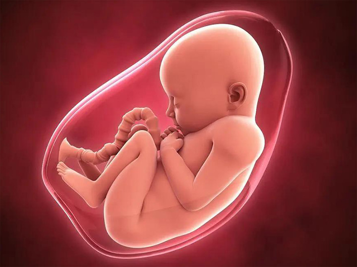 怀孕5个月的胎儿是怎样的 有多大？