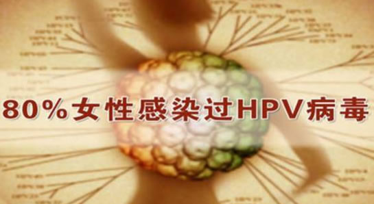 女人为什么会感染hpv病毒(女性的hpv病毒从何而来)