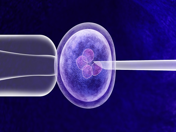 胚胎移植怎么判断已经着床(附3个表现)