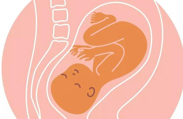 孕妇横位是怎么造成的(怀双胞胎会不会发生横位)