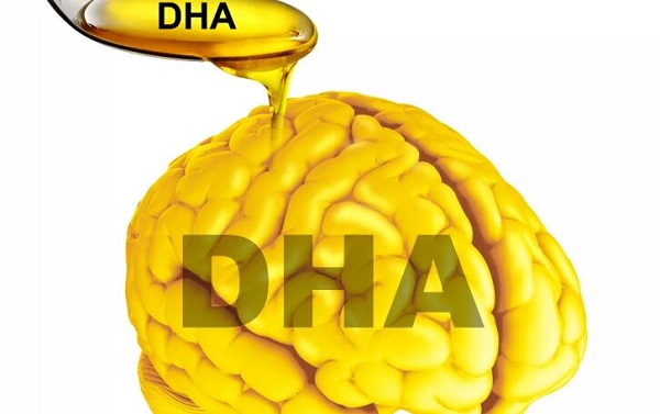 dha的作用与功效(附孕妇、婴儿补充dha的作用和功效)