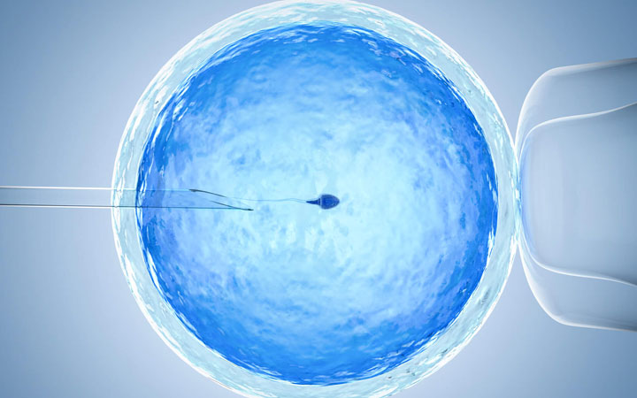 胚胎移植过程详解身体准备、费用、成功率与着床时间