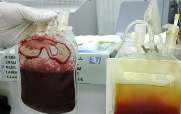 正规存脐带血7家机构(存脐带血的价格)