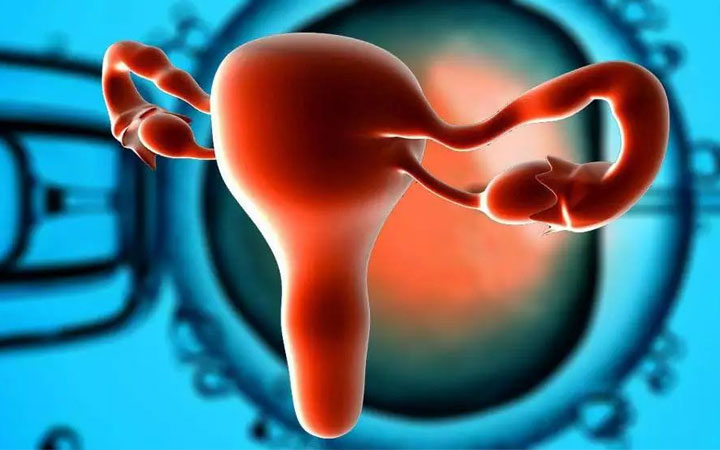 卵巢早衰是什么原因导致的(附危害、如何治疗和怀孕)