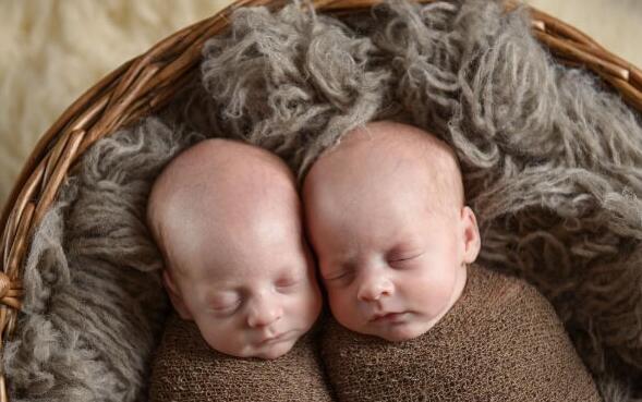同卵双胞胎怎么形成(同卵双胞胎和异卵双胞胎的区别)
