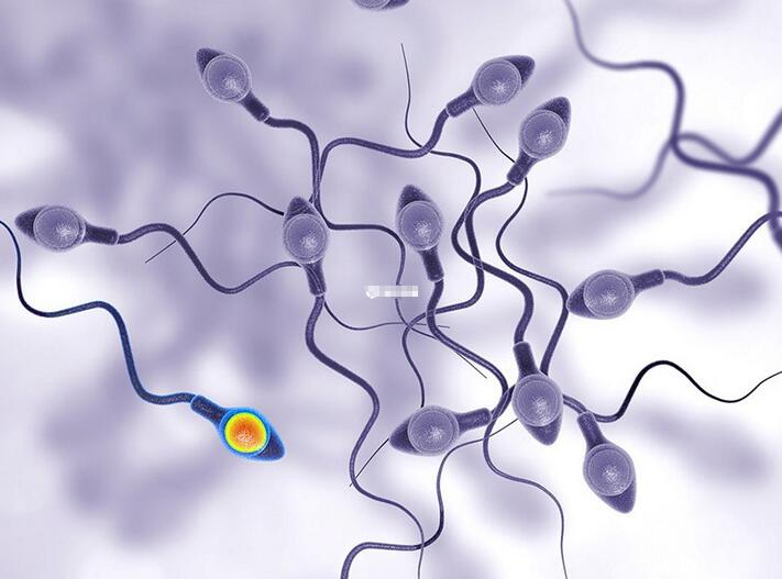 弱精症是什么原因造成(附治疗方法、如何备孕)