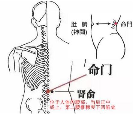 催姨妈最快最有效的方法分享,最快5分钟见效