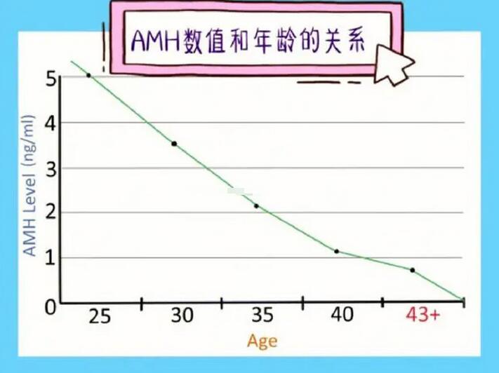 amh值0.01会不会有卵泡(检查出amh值0.01有没有可能回升)