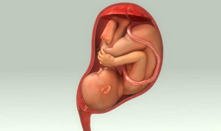 胎儿不入盆的5大原因(胎儿不入盆和坐姿、妈妈运动有没有关系)