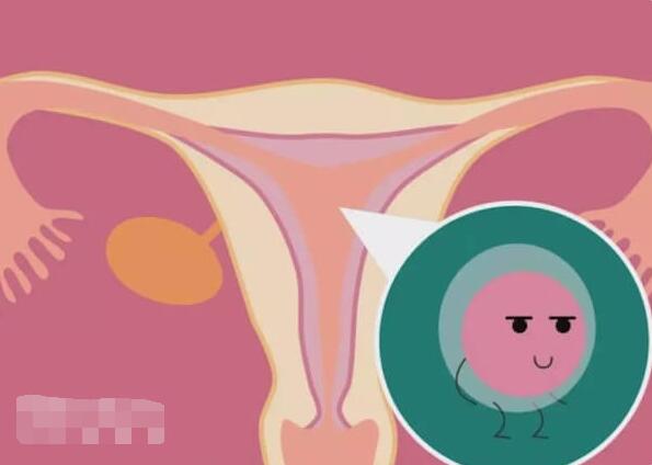 宫外孕的原因和症状(宫外孕的预防和治疗)