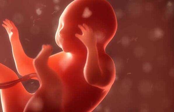 胚胎质量不好几周胎停(胎停前有哪些预兆和如何预防)
