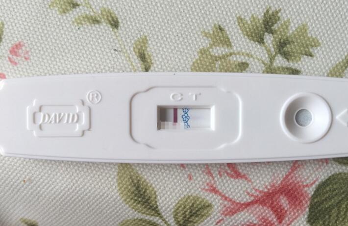 过来人分享已怀孕的验孕棒图片实拍真实记录