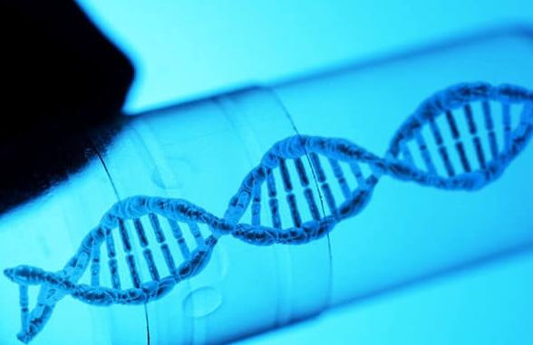 4号染色体致病遗传的源头,揭示父亲与精子异常的联系