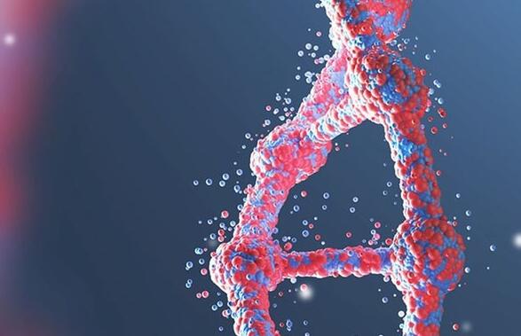 4号染色体致病遗传的源头,揭示父亲与精子异常的联系