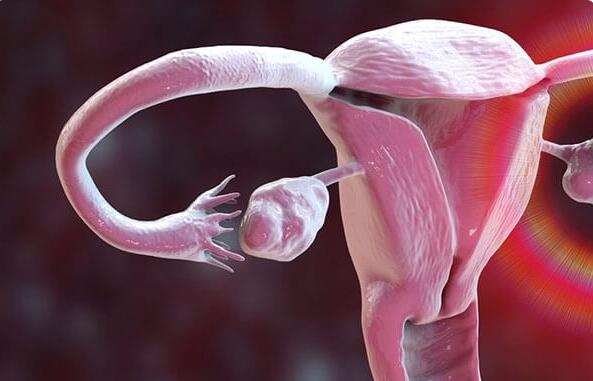 卵巢早衰最佳恢复方法(AMH数值对怀孕有什么影响)