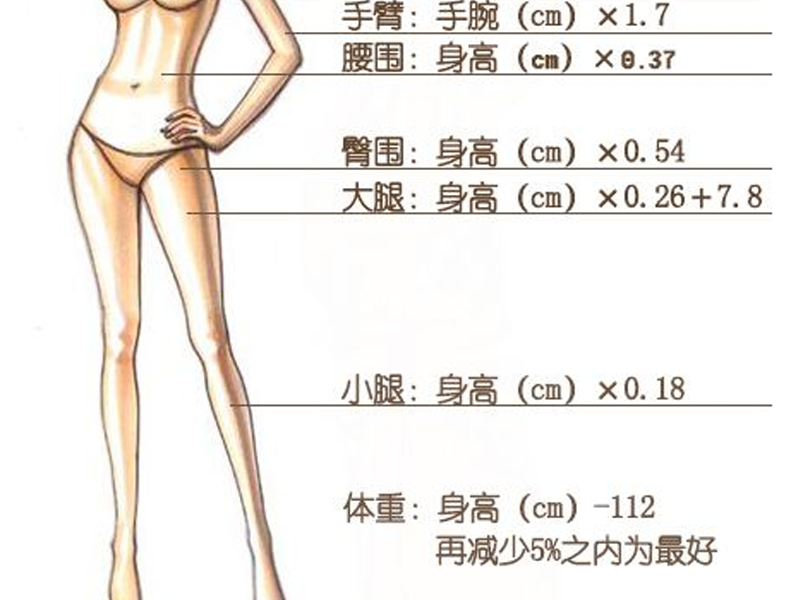 2023女生标准三围对照表是怎样的(附三围的标准测量方法)