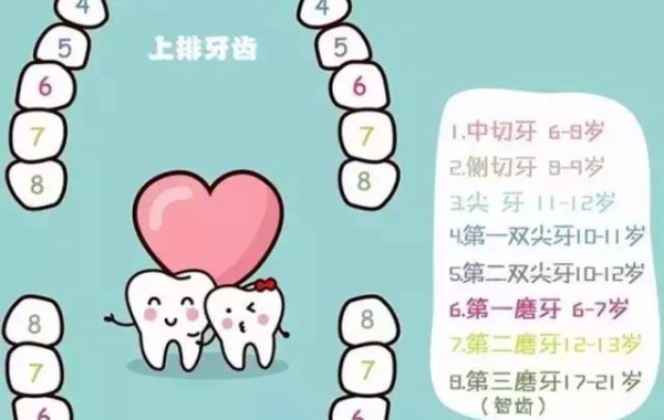 儿童换牙顺序图20颗(10岁儿童换牙顺序)