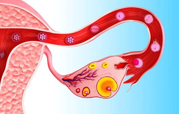 子宫内膜薄病因有哪些(子宫内膜薄如何调理)