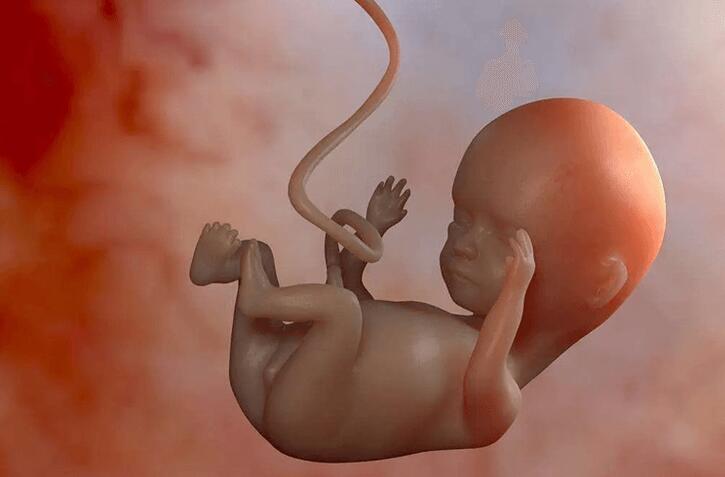 胎儿窘迫会有哪些临床表现(头先露胎儿窘迫的临床表现)