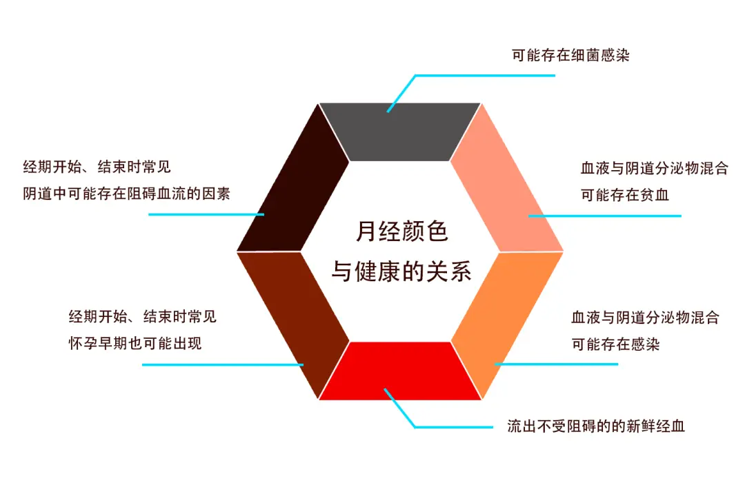 正常阴脣是什么样子的？