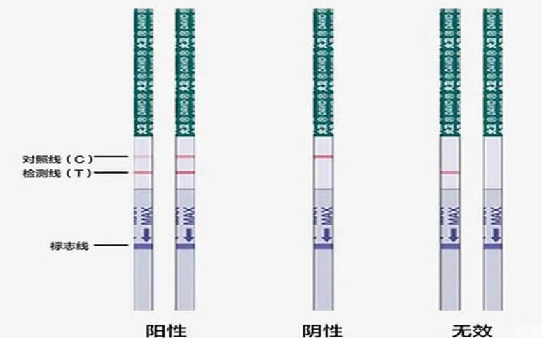 万孚验孕棒炸胡是因为什么(万孚验孕棒怎么测最准)