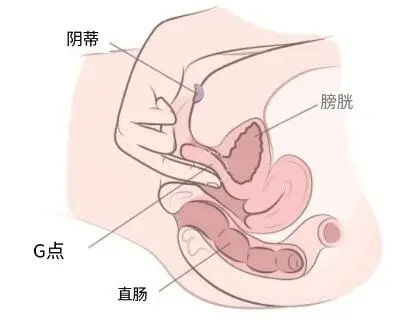 女人高潮后喷出的水是尿液吗(附喷潮湿怎么办到的)